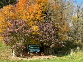Family Vacation Cabin with Great views - Image 3