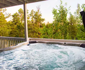 Dramatic Mountain Views w/ Hot Tub - Image 3
