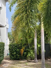 ”Family home with ocean views, pool, and garden.” - Image 4
