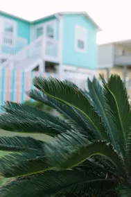 Welcome to Flamingo Dune! - Image 3