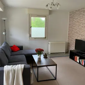 Bungalow in the pine forest directly on the Baltic Sea (d) - Image 4