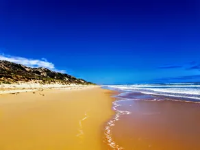 The Bees Knees at Venus Bay: Back to analogue - Image 4