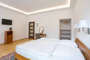 Luxurious large apartment with a terrace in the center of Litomyšl - Image 5