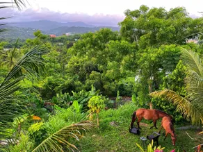 #H Relaxing Rainforest Honeymoon Suite w/hottub - Image 3