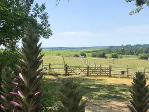 Charming renovated country house with pool - Image 4