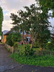 Vacation apartment on the Mehrenshof - Image 2