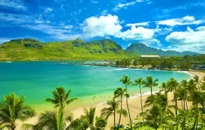 Stunning Private Cliffside Oasis at Kalapaki Beach - Image 5