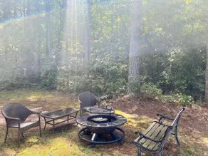 The Great Little Orchard with mini trail - Image 5