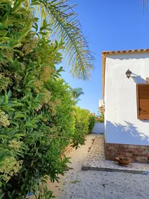 Villamare Iris - Image 4