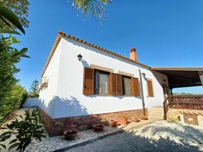 Villamare Iris - Image 3