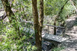 Big Yurt ~ Golden Cup Wilderness - Image 3