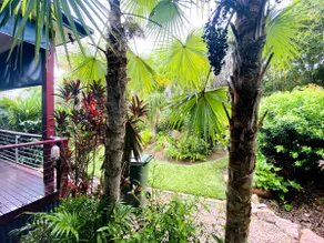 Spacious Home & Tropical Garden - Image 4
