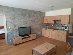 Mýto apartments - Image 3