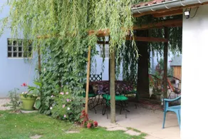 Lodge under the weeping willow - Image 2