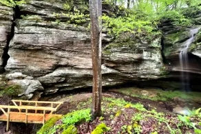 Modern Cabin w/ Trail to Waterfall/Cave/Cliff (TF) - Image 3