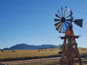 Beat the Phoenix Heat · Cool Ranch · Sleeps 6 - Image 3