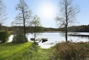 Scandinavian Retreat • Lake, Sauna & Vine Garden - Image 3