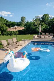 Ultimate Privacy - Luxury Home on 9 Acres w/ Pool - Image 2