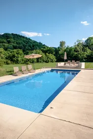 Ultimate Privacy - Luxury Home on 9 Acres w/ Pool - Image 4
