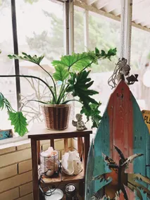 Cozy Beach cottage in Encinitas Great Location!. - Image 3