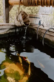 Grand Canyon Cabin - Hot Tub, Patio, Goldfish Pond - Image 3