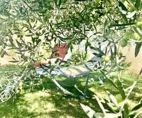 VILLA MODERNE. AIR CONDITIONED. SWIMMING POOL. BARBECUE. NO VIS A VIS. OPTICAL FIBER - Image 2