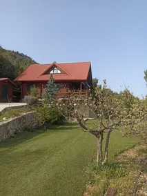 CHALET REGINA - Image 4
