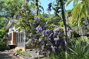 La Casita by Lina - Image 3