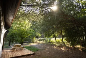 Surf Shelter - la Maison Dans la Forêt - Image 4