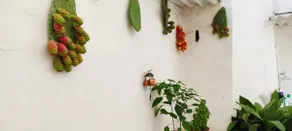 Vacation home in Salento - Image 2