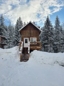 Colorful Cabin in the Woods - Image 2