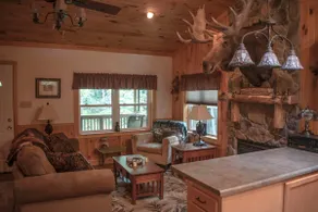 The Cabin in The Cook Forest - Image 5