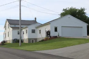 Pinedell Farm Cottage- Entire House/Working Farm - Image 3
