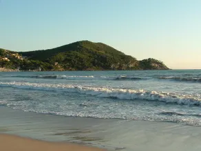 Small house close to the beach, quiet, surrounded by greenery - Image 2