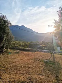 Villa Elizabeth - Image 3