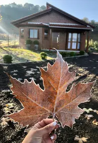 House in the heart of the vineyard valley - Image 3