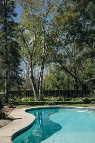 Luxury Lakefront Home with Pool and Fire Pit - Image 4