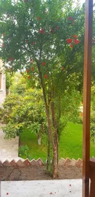 Green terrace - Image 4