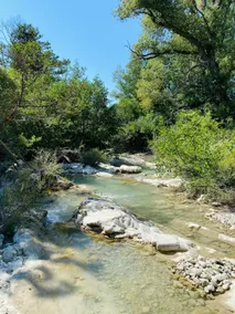 Rio Provence - Image 4