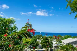 Ocean view from St James - Leah - Image 2
