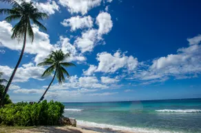Ocean view from St James - Leah - Image 3