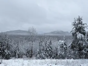 Beautiful Adirondack Retreat! Musicians Haven. - Image 3