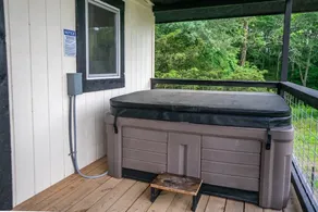Hot Tub Mountainside 2-BR Cabin near Mena - Image 3