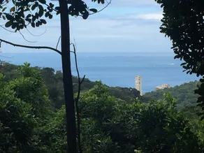 Casa Floresta - Urban Paradise- Ocean View - Image 3