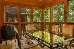 Ozark cabin with a fantasic porch in the trees - Image 2