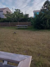 ”Our Happy Place” beach house! - Image 3