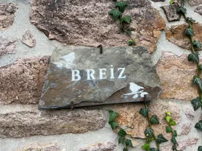 Ty Breiz - Image 4