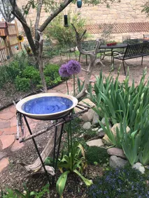 The Orchard Garden Cottage - Image 4
