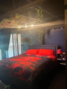Romance Suite (minutes from downtown Detroit) - Image 2