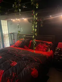 Romance Suite (minutes from downtown Detroit) - Image 5